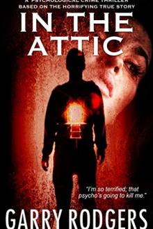In The Attic by Garry Rodgers