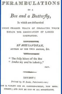 The Perambulations of a Bee and a Butterfly, by Elizabeth Sandham