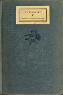 The Fledgling by Charles Bernard Nordhoff