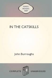 In the Catskills by John Burroughs