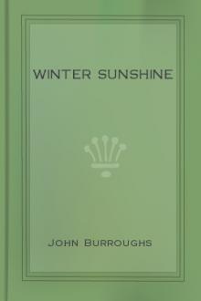 Winter Sunshine by John Burroughs