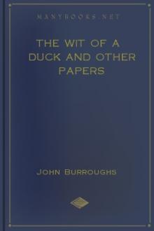 The Wit of a Duck and Other Papers by John Burroughs