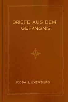 Briefe aus dem Gefängnis by Rosa Luxemburg