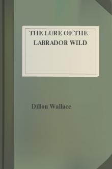 The Lure of the Labrador Wild by Dillon Wallace