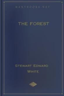 The Forest by Stewart Edward White