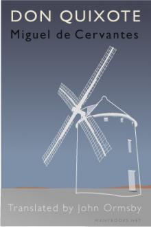Don Quixote by Miguel de Cervantes Saavedra