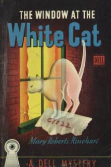 The Window at the White Cat by Mary Roberts Rinehart