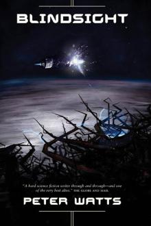 Blindsight by Peter Watts