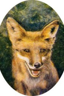 Squirrels and Other Fur-Bearers by John Burroughs