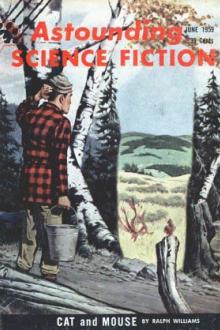 Cat and Mouse by Ralph Williams