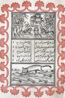 The Cat and the Mouse by Unknown