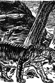 The Beginning by Henry Hasse