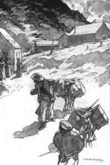 The Return of the Gipsy by Mrs. Wilson Woodrow