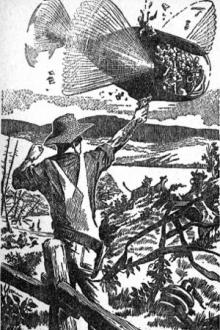 Thy Rocks and Rills by Robert E. Gilbert