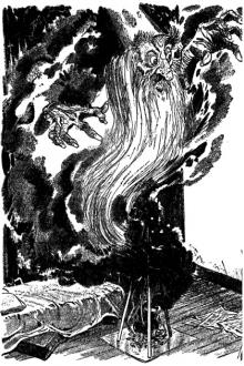 The Eye of Wilbur Mook by H. B. Hickey