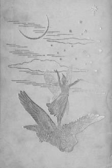 The Grey Fairy Book by Unknown