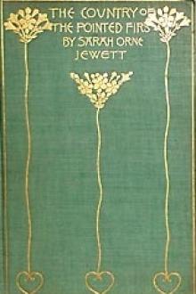 The Country of the Pointed Firs by Sarah Orne Jewett