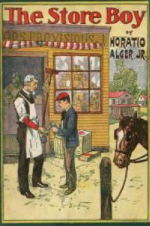 The Store Boy by Jr. Alger Horatio