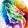 Profile picture for user rainbowthewolf99@gmail.com
